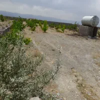 زمین-بسیجیان-سنگ-سفید