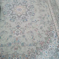 قالی|فرش|سیرجان, |دیوار