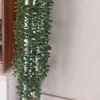 شمشاد مصنوعی|گل مصنوعی|تهران, خلیج فارس|دیوار