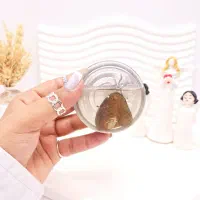 گردنبند مروارید عشق|زیورآلات و اکسسوری|چناران, |دیوار