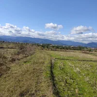 مزرعه ده تاسی هزار متر،مناسب کاشت کیوی|فروش زمین و ملک کلنگی|تالش, طولارود|دیوار