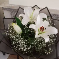 چندسبد گل باقیمتهایی باورنکردنی بفروش میرسد|گل و گیاه طبیعی|تهران, توحید|دیوار