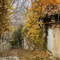 ارنگه-750متر باغچه|فروش زمین و ملک کلنگی|آسارا, |دیوار