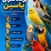 همکار خانم