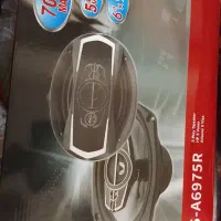 ضبط باند