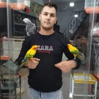 کاسکو خورشیدی گرینچیک در پرنده سرای ابوالفضل