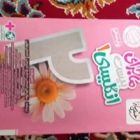 کتاب ماجراهای بیست انگلیسی دهم