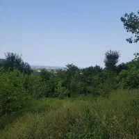 زمین سند دار در رامسر روستای طلارسر