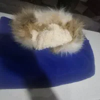 فروش تعدادی لباس نو.به علت جمع کردن .کیفهادرحدنو|لباس|گرمسار, |دیوار