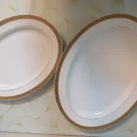 دیس بزرگ و کوچیک مرغ خوری و پلوخوری
