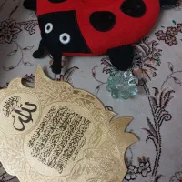 کلاسور|کیف، کفش، کمربند|سبزوار, عارف|دیوار