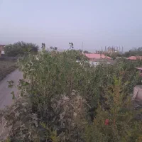 باغ ویلا پاکدشت قرمزتپه|فروش خانه و ویلا|شریف‌آباد, |دیوار