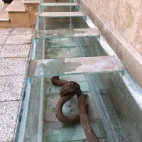 اکواریوم حرفه ای بزرگ|ماهی|گنبد کاووس, |دیوار