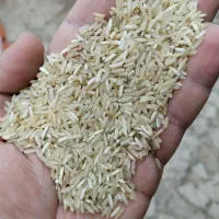 برنج شیرودی دودی