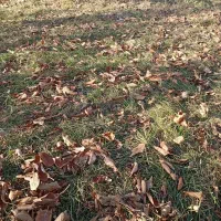 فروش قطعه زمین