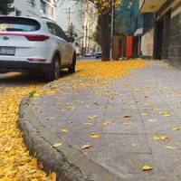 تعلیم رانندگی تضمینی در قبولی امتحان شهر توسط مربی
