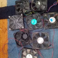 فن کامپیوتر. پروژکتور.حلزونی