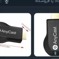 سانکل یا انی کست