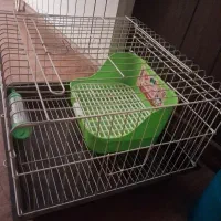 وسایل خرگوش