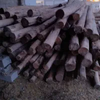 فروش دار