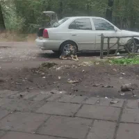 مسافر برای مشهد