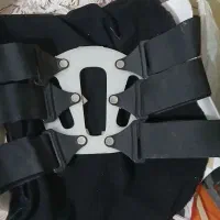 کمربند معاوضه با سهره قناری عروس هلندی