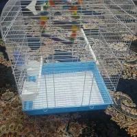 نونو|لوازم جانبی حیوانات|قم, شهرک فاطمیه|دیوار