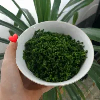 قرمه . سبزی درجه یک و خوش عطر