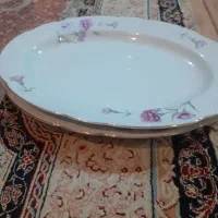 دوعدد دیس برنج خوری