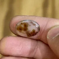 نگین انگشتر خوش تراش و نایاب سنگ شجر قائن