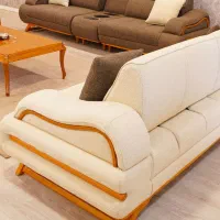 مبل شویی برند