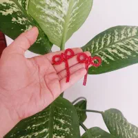 اکسسوری یلدا|زیورآلات و اکسسوری|قوچان, |دیوار