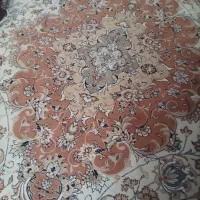 سوئیت دربست