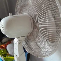 پنکه ایستاده|پنکه و تصفیه‌کنندهٔ هوا|نوشهر, |دیوار