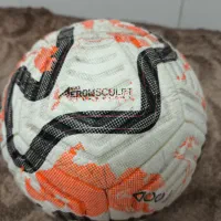 توپ چمن اصلی نایک|ورزشهای توپی|قزوین, |دیوار