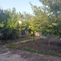 فروش فوری باغ ۷۰۰ متر چهار فصل زیر قیمت و با تخفیف|فروش خانه و ویلا|مشهد, میان ولایت|دیوار