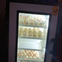 دستگاه جوجه کشی|لوازم جانبی حیوانات|همدان, |دیوار