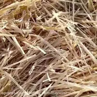 کاه برای کاه گل