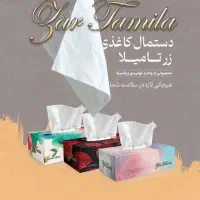 دستمال کاغذی|مواد شوینده و دستمال کاغذی|اصفهان, شاهزید|دیوار