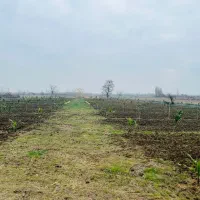 فروش زمین چمستان، روستای ولیرکان