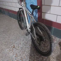 دوچرخه ویوا|دوچرخه، اسکیت، اسکوتر|ایذه, |دیوار