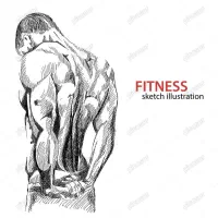 اندام ایده ال