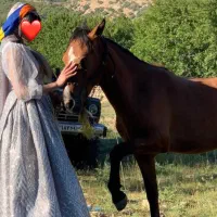 فروش لباس محلی نو|لباس|یاسوج, |دیوار