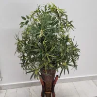 درختچه ی مصنوعی گل مرداب با پایه و گلدان چوبی