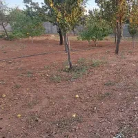 باغ ۱۵۰۰ متری شهرستان خدابنده روستای گوگجه ییلاق|فروش دفتر صنعتی، کشاورزی، تجاری|قیدار, |دیوار