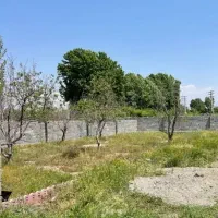 زمین-900متر-اقبالیه-داخل-بافت-سند-تک-برگ