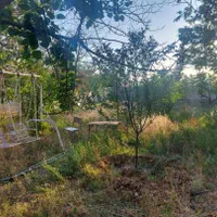 ۱۰۲۰ متر باغ / / ۹۱ متر بنا/چنار غرب/فوری فروشی