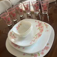 سرویس ارکوپال