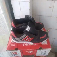 کتانی وکفش مجلسی