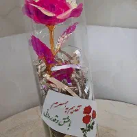 قو برنز|مجسمه، تندیس، ماکت|قم, امامزاده ابراهیم|دیوار